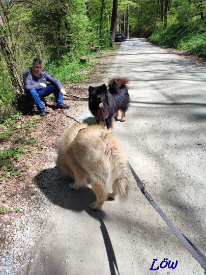 20.4.2025 - Ersch&ouml;pfung